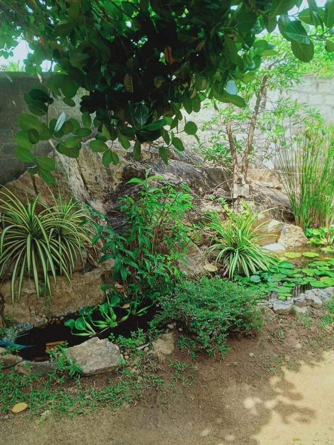 Sidhangana Home Stay Anuradhapura Eksteriør billede
