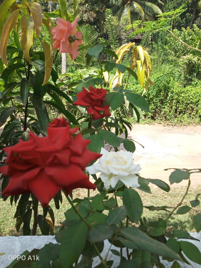Sidhangana Home Stay Anuradhapura Eksteriør billede