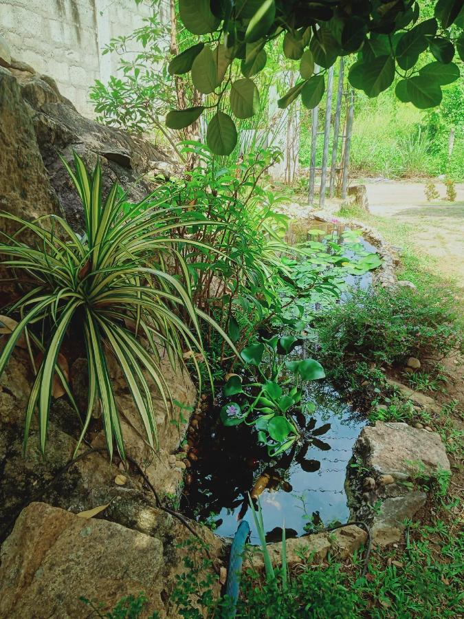 Sidhangana Home Stay Anuradhapura Eksteriør billede