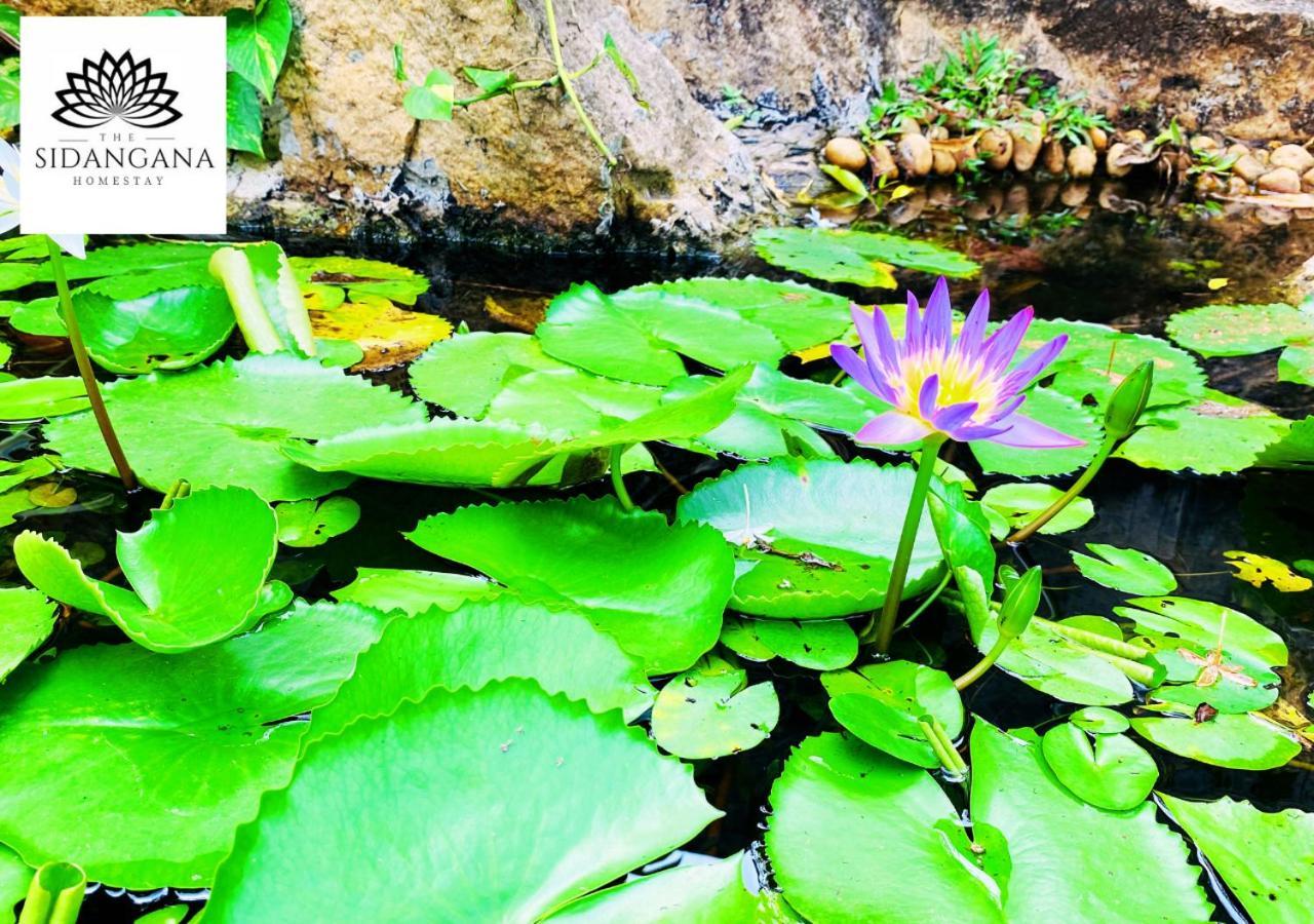 Sidhangana Home Stay Anuradhapura Eksteriør billede